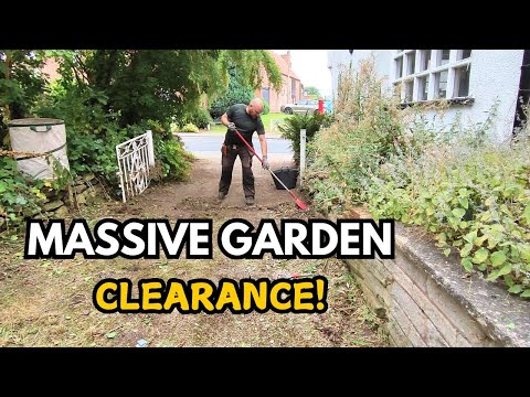 Abandoned Garden Gets an AMAZING Makeover! My BIGGEST Project EVER! (Day 1)