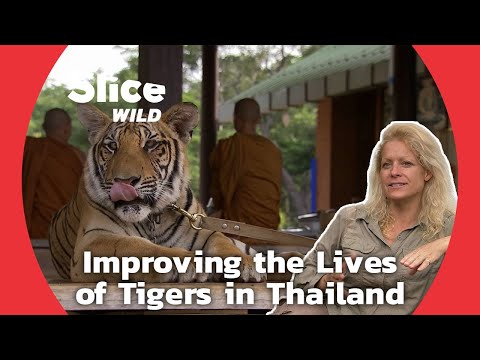 Animal Behaviourist: Training People to Treat Animals Better | SLICE WILD | FULL DOCUMENTARY