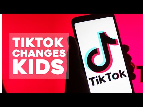 How TikTok Changes Kids | Stanford Prof. Dr Anna Lembke