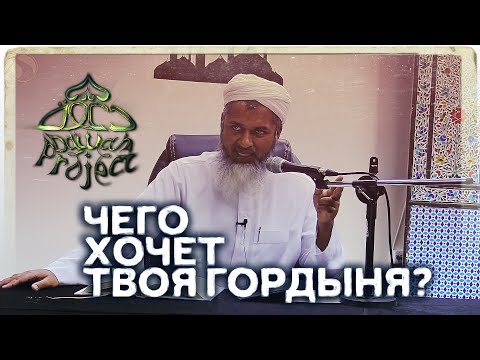 Чего хочет твоя гордыня? Хасан Али | Dawah Project