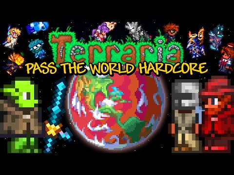 14 Pros Beat Terraria but Pass the World on Death