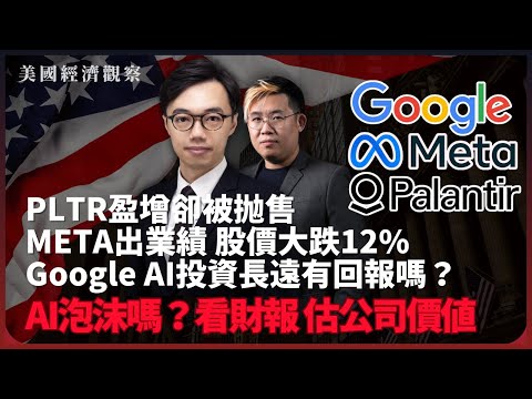 美國經濟觀察|由業績估值,AI企被高估?META出業績盈利跌83%|PLTR盈增卻被抛售|Google AI投資長遠有回報嗎?(方源 X 馮智政)