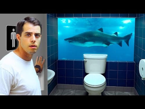 I Visited the Weirdest Bathrooms in America
