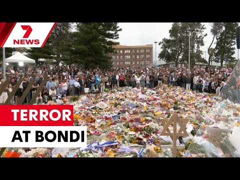 Bondi attack exposes gun law gaps | 7NEWS