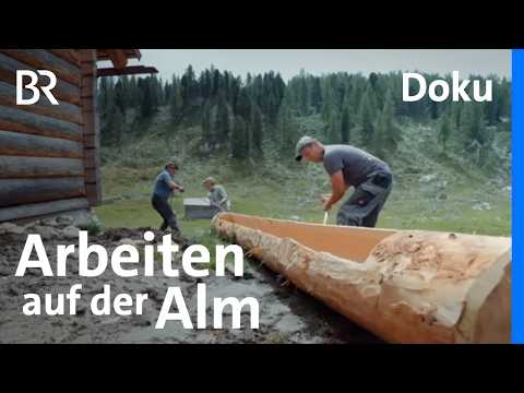 Viehtränke bauen und Schafherde suchen: Hirtenleben im Dachsteingebirge | Unter unserem Himmel | BR