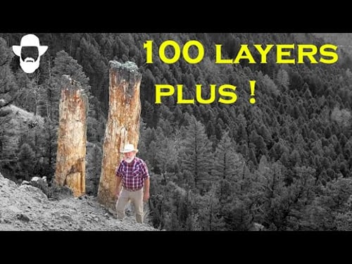 Explore Numerous Layers of Petrified Trees: Yellowstone National Park