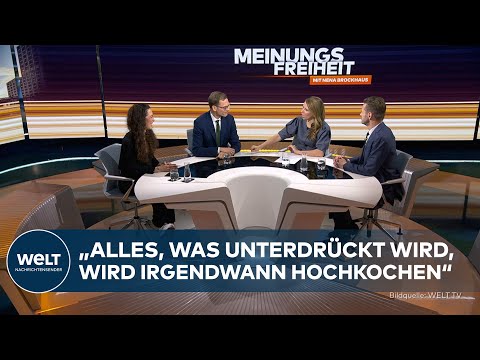 MEINUNGSFREIHEIT: Schweigespirale in Deutschland ‒ Bürger verbergen ihre AfD-Sympathie | Sendung