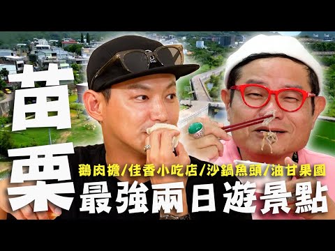 〈2025 苗栗景點〉苗栗最強兩日遊景點!卓蘭在地超推「鵝油拌飯」許效舜吃飽還是要吃!頭份巨無霸砂鍋魚頭無人能敵?【#效廉出發吧】|威許兄弟趴趴走🛵|許效舜 威廉
