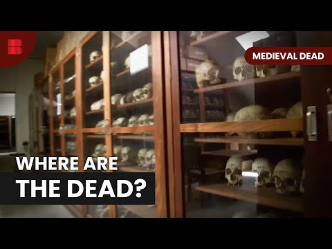 The Lost Graves of Agincourt Archaeological Hunt