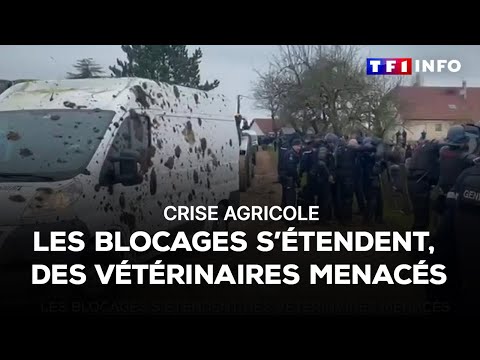 Crise agricole : les blocages s'étendent, des vétérinaires menacés |TF1 INFO