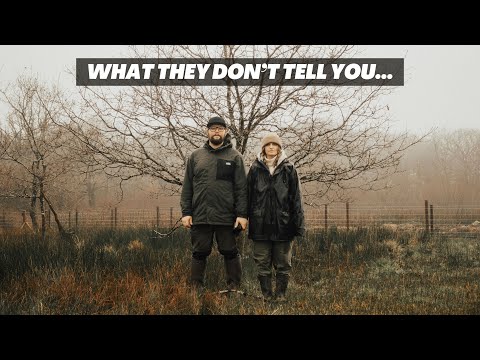 Reality of trying to live OFF-GRID...We're struggling