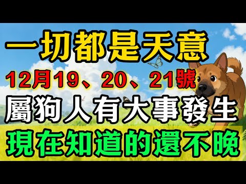 一切都是天意!屬狗人註意,12月19、20、21號,你有「大事」發生!現在知道的還不晚!#佛靈禪境#屬相運勢#生肖#家運#生肖運勢的那些事#先知#風水變化#提升運勢