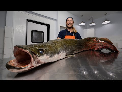 The Biggest River Monster I've Ever Filleted