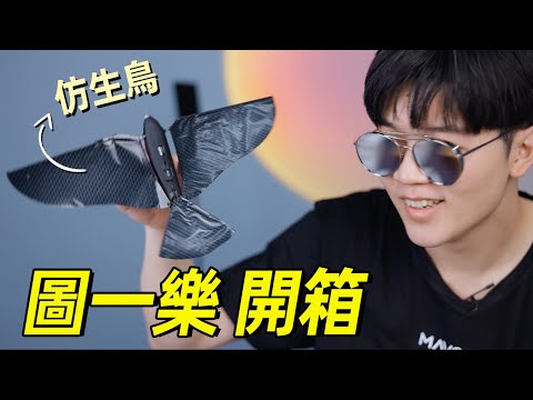 上頭網購了一堆離譜的怪東西:開箱合集丨夏日神器+送長輩的最佳禮品+法國仿生鳥?丨圖一樂開箱 · 番外篇丨 Lks