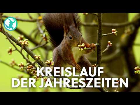 Im Takt der Sonne - Das Wunder des Jahreszeitenwandels