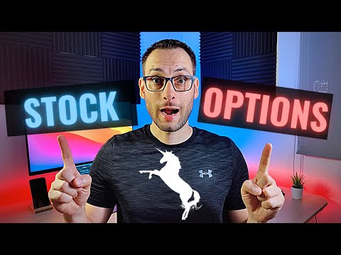 Todo sobre las OPCIONES sobre ACCIONES para EMPLEADOS (STARTUP STOCK OPTIONS)