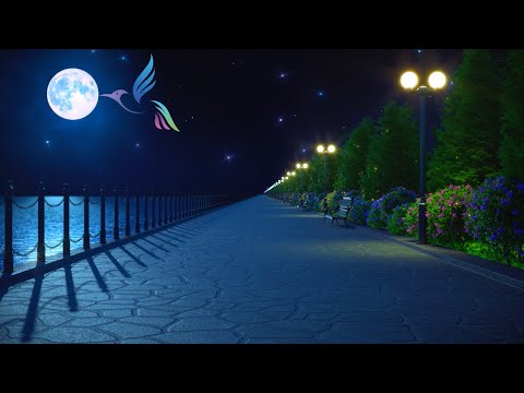 Duerme Instantáneamente en Menos de 5 MINUTOS ★︎ Música Relajante Para Dormir Profundamente ★ ...