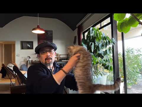 南京博物馆监守自盗:捐赠画卷出现在拍卖场,背后的真相揭秘|仇英|江南春|庞莱臣|虚斋