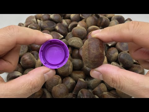 I Can’t Believe Chestnuts Peel This EASILY! One Bottle Cap!