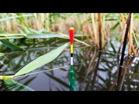 Простое ТЕСТО ДЛЯ КАРАСЯ, и ЧЕРВИ НЕ НУЖНЫ!! Крупный КАРАСЬ в камышах на ПОПЛАВОЧНУЮ УДОЧКУ!!