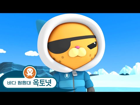 바다 탐험대 옥토넛 - #겨울_스페셜 | 북극 대탐험 - 모음집