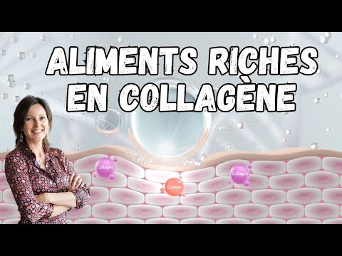Quels aliments contiennent du collagĂšne ?