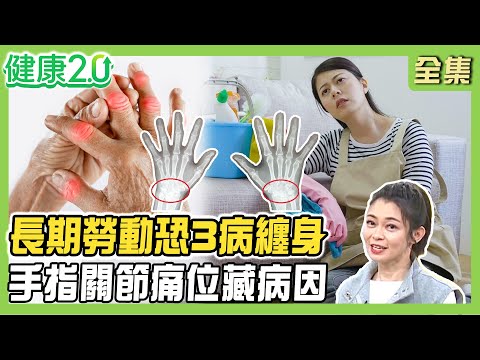 關節炎風險女性高3倍!媽媽長期勞動恐3病纏身!手指關節疼痛位置藏病因! 晨間僵硬疑似類風濕關節炎?健康2.0 20250510【完整版】#鄭凱云 #侯鐘堡 #陳藝瑄 #陳麗華 #林勝傑