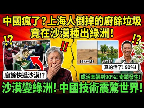 中國瘋了?上海人倒掉的廚餘垃圾,竟在沙漠種出綠洲!成活率飆到90%