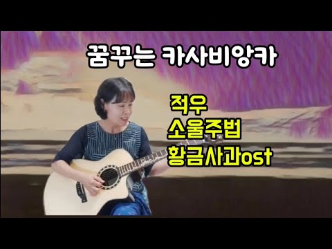 꿈꾸는 카사비앙카/적우,외국곡/소울주법/황금사과ost/guitar cover