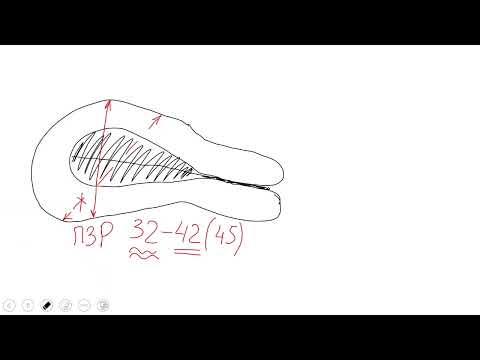 Введение в УЗИ малого таза у женщин 2022 04 26 14 15 58