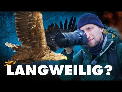 ICM statt Perfektion | Vogelfotografie mit 2 Sek.