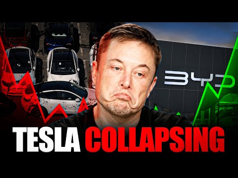 Elon Musk PANICS After Tesla Sales COLLAPSE Against BYD!