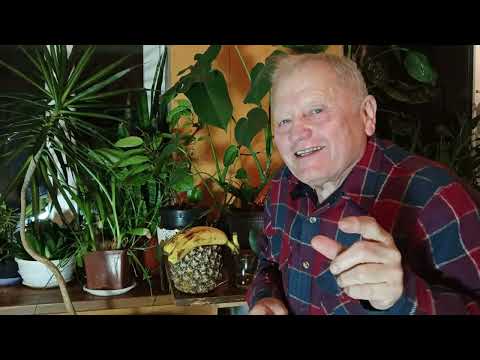 ВАЖНЫЕ РАБОТЫ ЗИМОЙ НА ОГОРОДЕ И УЧАСТКЕ. что НУЖНО сделать для регенерации почв