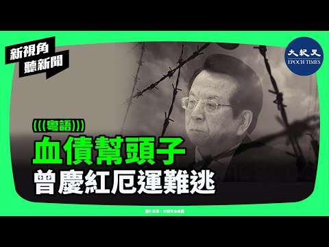 清算倒數?曾慶紅被視為終極目標!他如何織出中共龐大派系網——紅二代、江派、國安、外宣、石油幫交錯成驚人權力版圖!|#新視角聽新聞 #香港大紀元新唐人聯合新聞頻道
