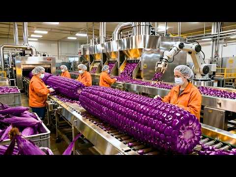 Inside the Largest U.S. Factory: You Won’t Believe How Purple Corn Becomes Butter Popcorn (Process)