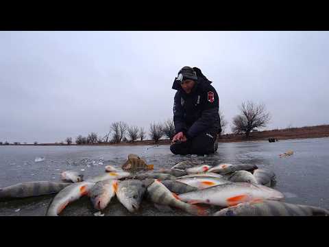 ДА ТУТ ЕГО ТЬМА. ЖОР ПО ТОНКОМУ ЛЬДУ В ОДНОЙ ЛУНКЕ. ПЕРВЫЙ ЛЁД в Астрахани. Зимняя рыбалка со льда.