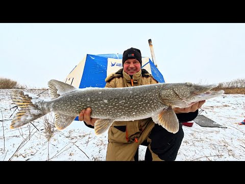 НЕВЕРОЯТНОЕ!🔥 САМЫЙ БЕШЕНЫЙ КЛЁВ в Истории ЗИМНЕЙ РЫБАЛКЕ (2 Ночи в теплой палатке)🎣