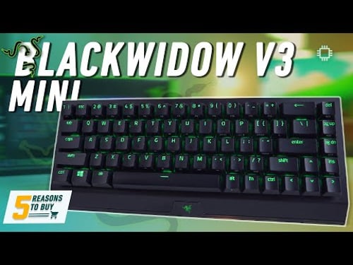5 Reasons to Buy the Razer BlackWidow V3 Mini Hyperspeed