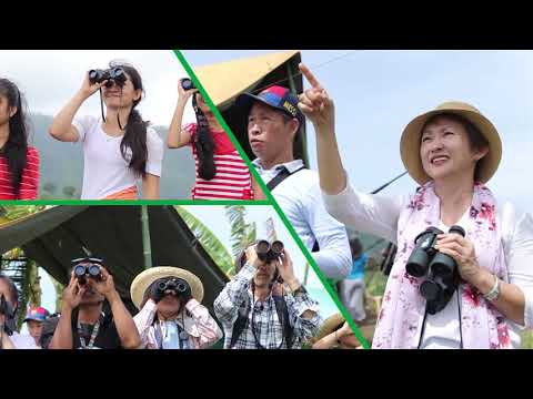 Raptor Migration 2017