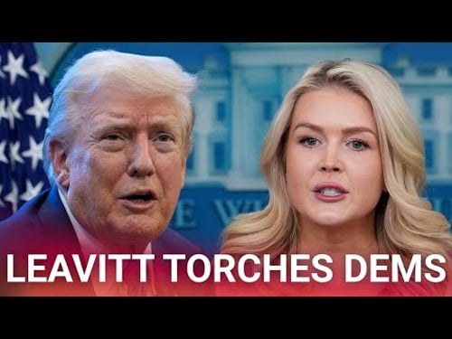 WATCH: Karoline Leavitt torches Dems for distorting crime statistics of illegal immigrants