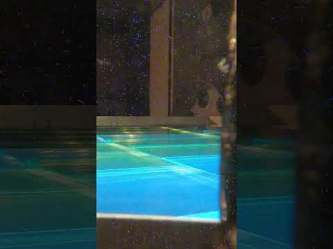 Particle Accelerator vs. Camera #experiment #cool #scienceexperiment #radiation #scienceproject