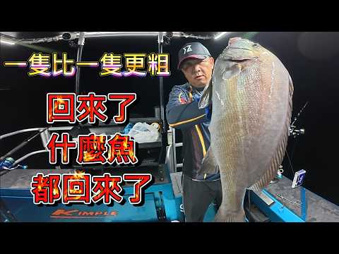 北風一吹什麼魚都進來這閃風區 鳳鼻頭漁港 到枋寮全部都有魚靠 不少大物都來了