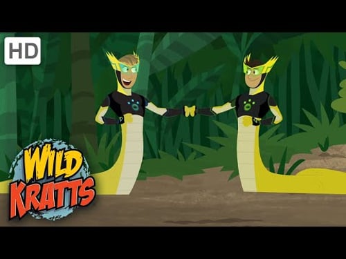 Wild Kratts | To Touch a Hummingbird | Full Episode | Season 2