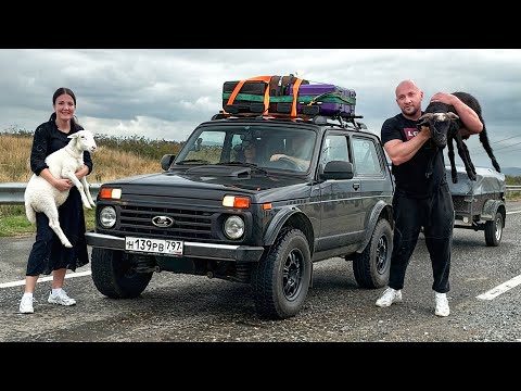 Едем продать НИВУ с БАРАНАМИ в ДАГЕСТАН на местном РЫНКЕ