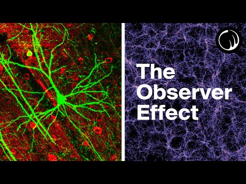 Weird Things Begin to Happen When You Examine Consciousness