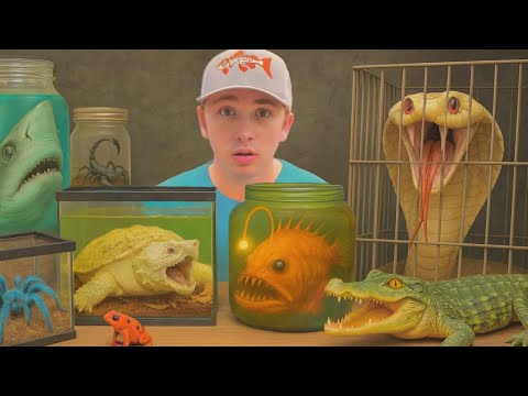 Я купил самых опасных животных мира…