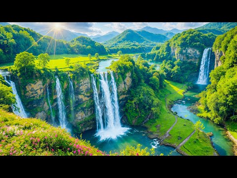Beautiful Relaxing Music - Stop Overthinking, Stress Relief Music, Sleep Music, Calming Music #202