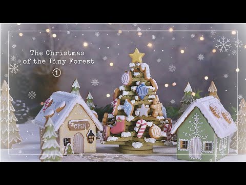 【2025 The Christmas of the Tiny Forest ①】