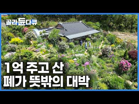 “나 이렇게 부자여도 되나?” 당시 아파트 가격 1억 주고 240평 폐가 딸린 땅을 샀더니|천국보다 아름다운|꿈꾸는 마당|시골 폐가 리모델링|건축탐구 집|#골라듄다큐
