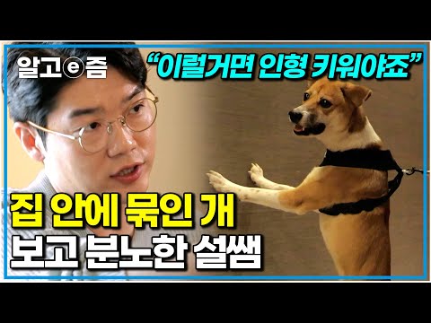 “왜 묶여 있어요?” 복도에 묶인 개 보고 한순간에 굳어진 설쌤. 문제투성이라는 보호자와 그런 보호자를 혼낸 설쌤|세상에 나쁜 개는 없다|알고e즘